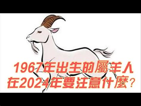 2024羊年運程1967